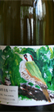 緑啄木鳥